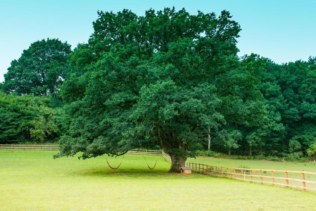 Hidden Wood Glamping And The Hideaway Cabin Warminster Zewnętrze zdjęcie
